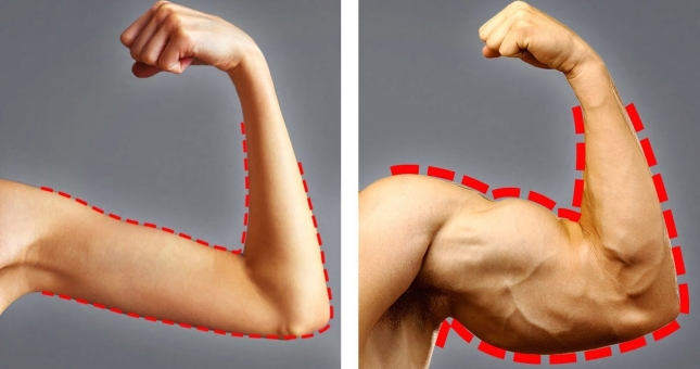 6 lý do bạn bị GẦY và mẹo giúp bạn tăng cân nhanh