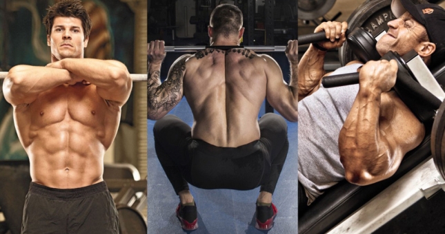 3 kiểu squat phổ biến nhất tập cơ đùi to, săn chắc