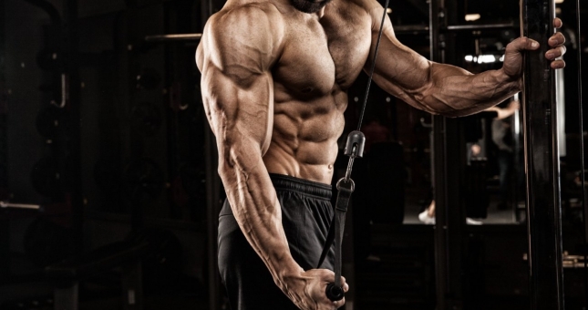 6 bài tập tay sau tốt nhất cho người mới