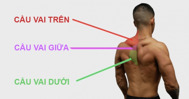 5 cách tập cơ cầu vai như những huyền thoại thể hình