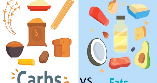 Muốn giảm cân nhanh nên ăn ít tinh bột hay ít chất béo?