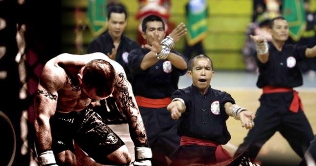 'Võ cổ truyền Việt Nam sẽ tiêu diệt MMA ngay tức khắc'