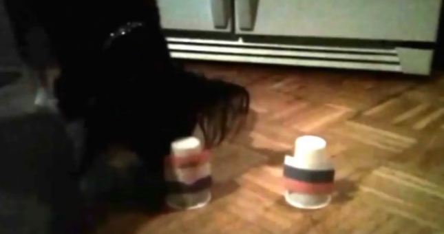 Chó thần thông dự đoán kết quả Nga vs Croatia