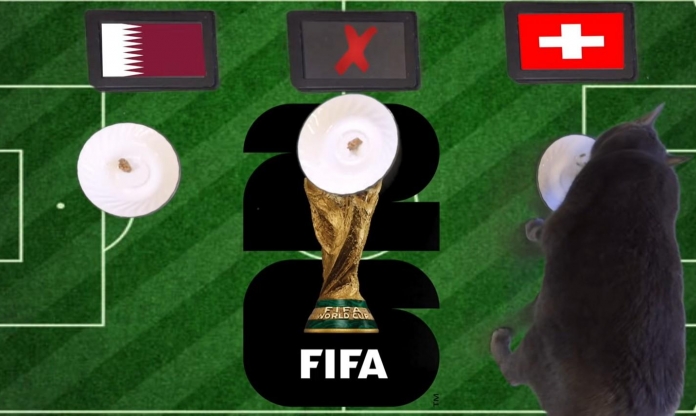 Mèo tiên tri dự đoán tỷ số Qatar vs Thụy Sĩ: Qatar gặp khó
