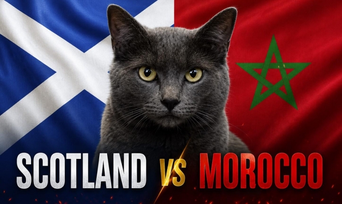 Mèo tiên tri dự đoán tỷ số Scotland vs Morocco: Kết quả gây sốc!