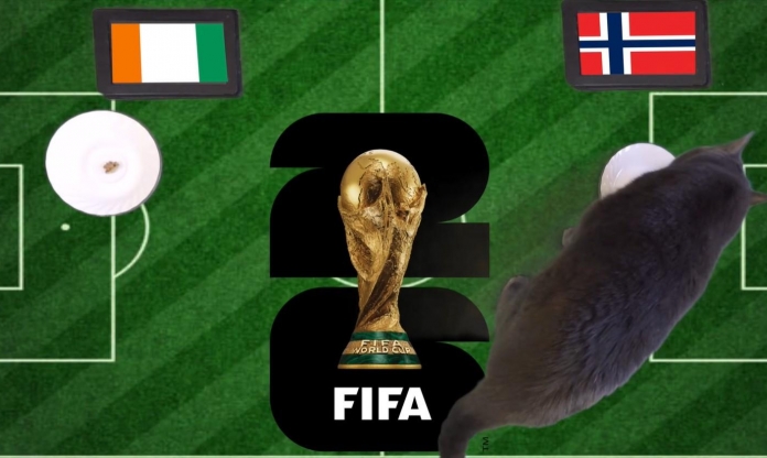 Mèo tiên tri dự đoán tỷ số Bờ Biển Ngà vs Na Uy: Viking đi tiếp!