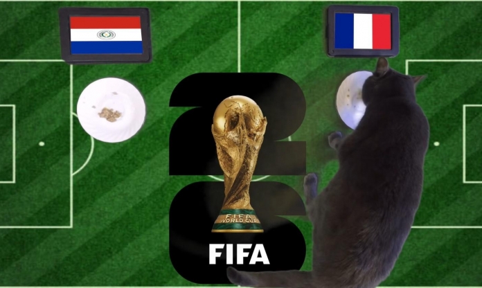 Mèo tiên tri dự đoán tỷ số Paraguay vs Pháp: Mbappe đưa Les Bleus vào tứ kết!