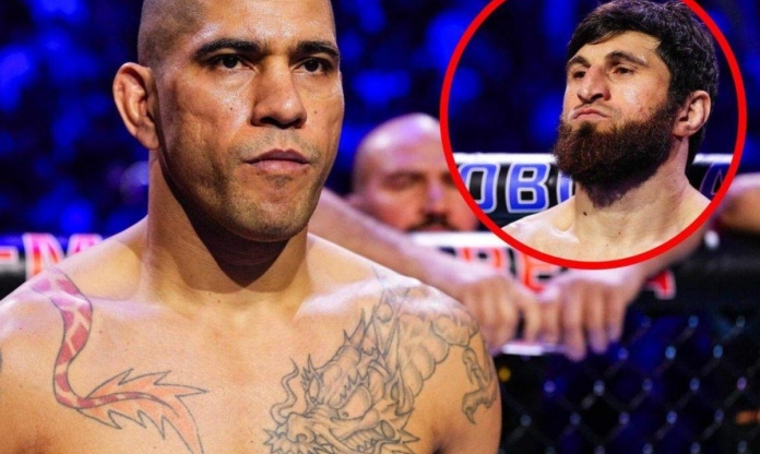 Alex Pereira: 'Magomed Ankalaev là kẻ hèn nhát'