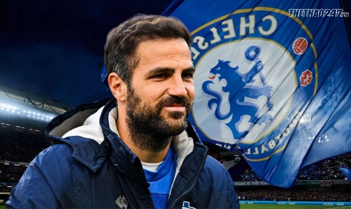 Chelsea chốt quyết định về việc bổ nhiệm HLV Cesc Fabregas