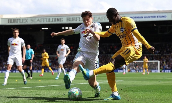 Nhận định Brighton vs Leeds: Tìm lại niềm vui