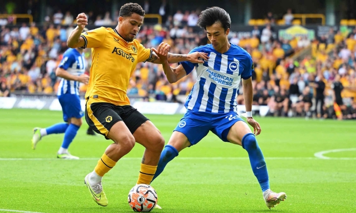 Nhận định, dự đoán Wolves vs Brighton, 02h45 ngày 29/02/2024