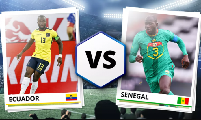 Dự đoán tỉ số kết quả Ecuador vs Senegal, 22h00 ngày 29/11