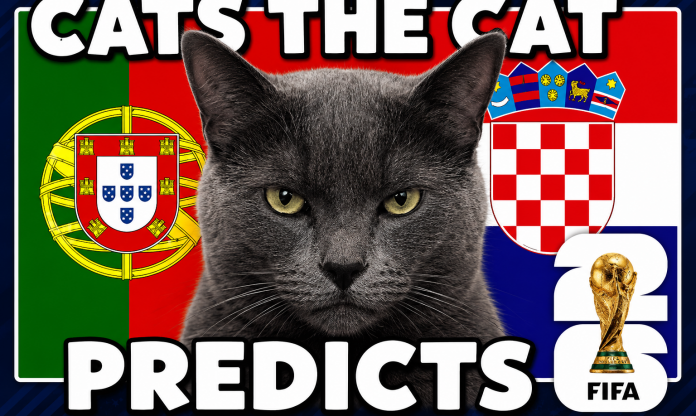 Mèo tiên tri dự đoán Bồ Đào Nha vs Croatia: Nỗi buồn cực lớn cho Ronaldo