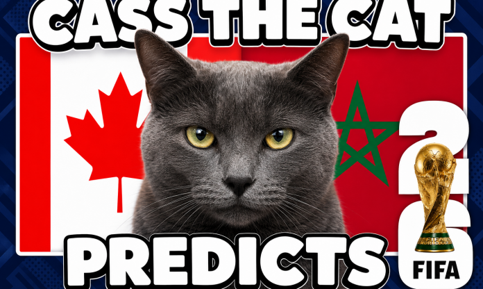 Mèo tiên tri dự đoán Canada vs Morocco: Quá khủng khiếp!