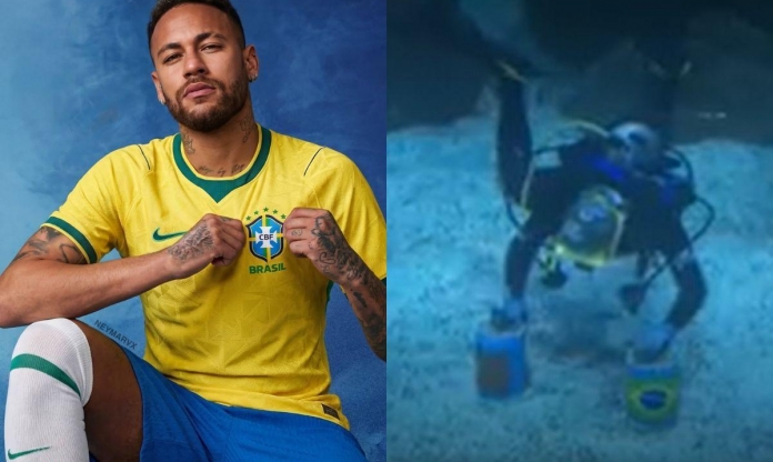 Cá mập hoa mai tiên tri chỉ thẳng kết quả Brazil vs Ma Rốc