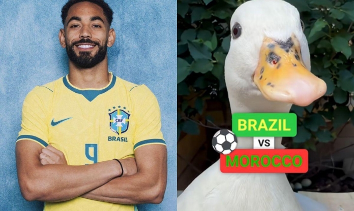 Đàn vịt đồng loạt chọn đội thắng ở đại chiến Brazil vs Ma Rốc