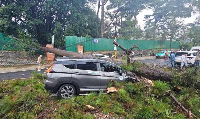 Mùa mưa bão: Bí quyết giữ an toàn cho ô tô trước nguy cơ ngập nước, cây gãy đổ trúng xe