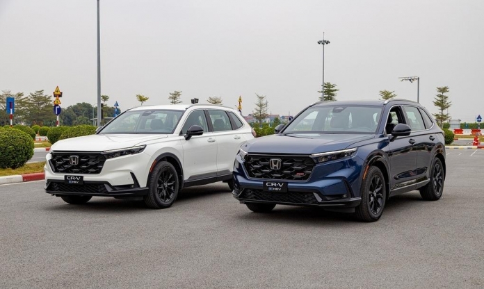 Năm 2026, xe hybrid hay xe điện sẽ là xu hướng tại thị trường Việt Nam?