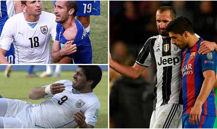 Tuyên bố bất ngờ, Chiellini ngưỡng mộ hành vi 'cắn người' của Suarez