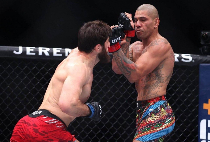 Alex Pereira nói gì sau thất bại tại UFC 313?