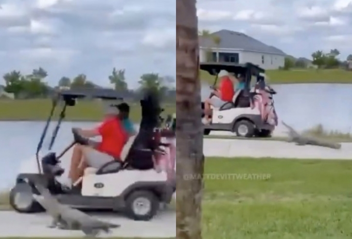 Thót tim với khoảnh khắc 'quái vật' hung hãn lao ra đuổi theo người chơi golf