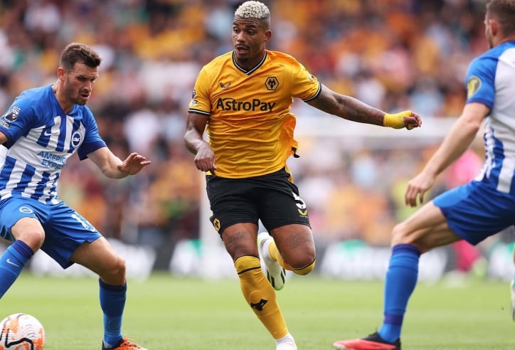 Nhận định Brighton vs Wolves: Chim mòng biển khuất phục Bầy sói