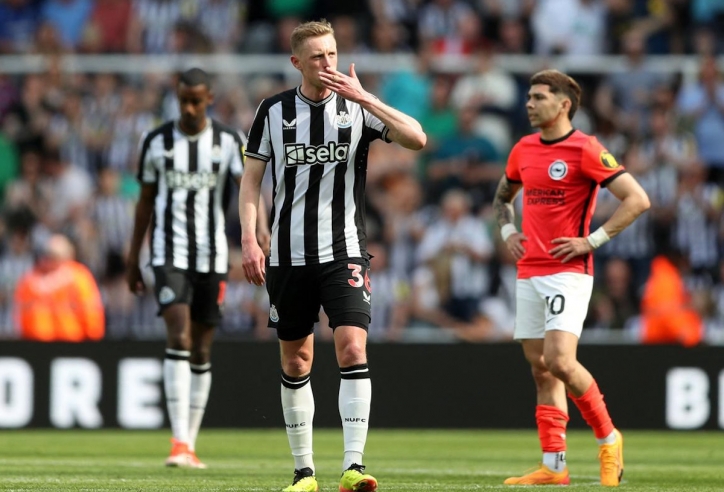 Nhận định Newcastle vs Brighton: Níu chân nhau, 21h00 ngày 19/10