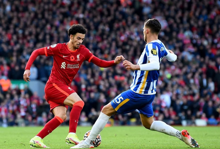 Nhận định Liverpool vs Brighton: Tìm lại mạch thắng, 22h00 ngày 02/11