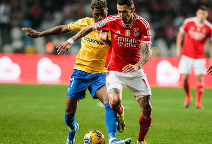 Nhận định Benfica vs Estoril: Chủ nhà áp đảo, 01h45 ngày 24/12/2024