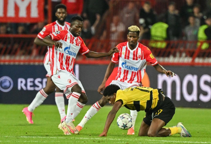 Nhận định Young Boys vs Crvena Zvezda: Một điểm danh dự, 03h00 ngày 30/1/2025