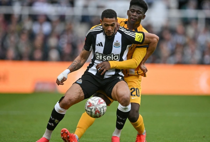 Nhận định Brighton vs Newcastle: Giữ vững top 3