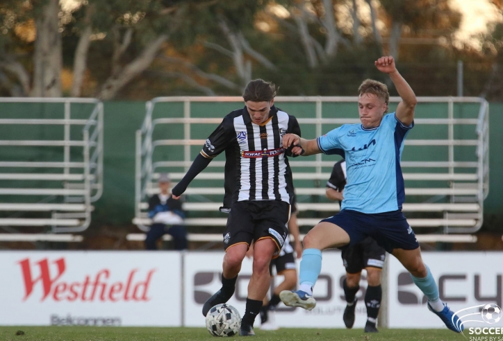 Nhận định Canberra Olympic vs Canberra Juventus: Dễ có trận hòa