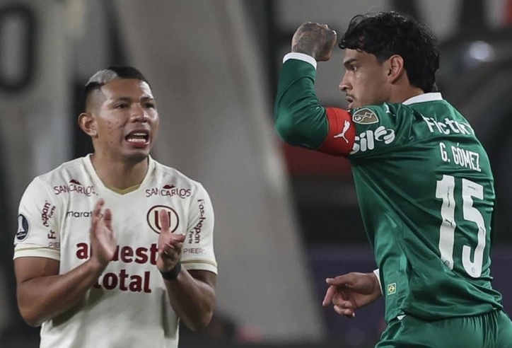 Nhận định Palmeiras vs Deportes: Cơ hội thắng gấp 7 lần