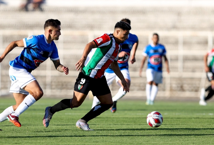 Nhận định Palestino vs Huachipato: Chờ đợi bất ngờ