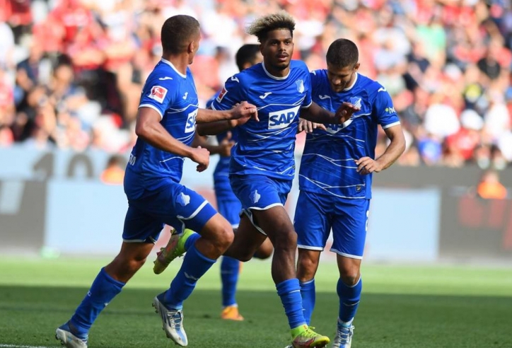 Nhận định Hoffenheim vs Hamburger SV: Tiếp tục tiến lên