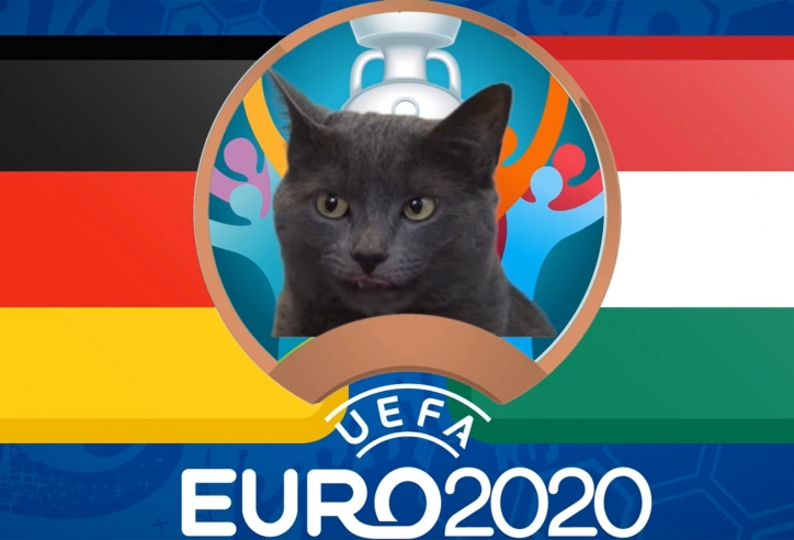 Mèo tiên tri dự đoán Đức vs Hungary: Thắng lợi nhọc nhằn
