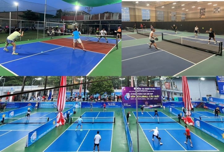 Giá thuê sân Pickleball ở Hà Nội, TP. HCM và khu vực khác