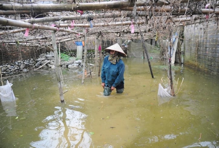 'Rốn lũ' Chương Mỹ khẩn trương đắp đê, di dời người dân trước khi nước sông Bùi dâng lên báo động nguy hiểm