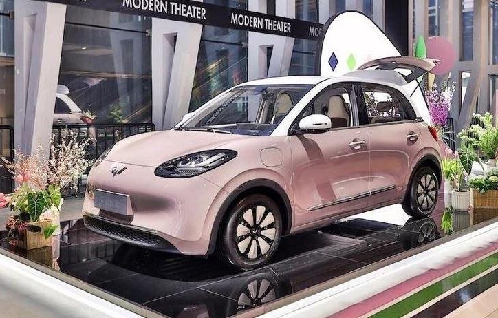 Xe điện Trung Quốc “càn quét” Đông Nam Á nhưng vẫn lép vế tại Việt Nam