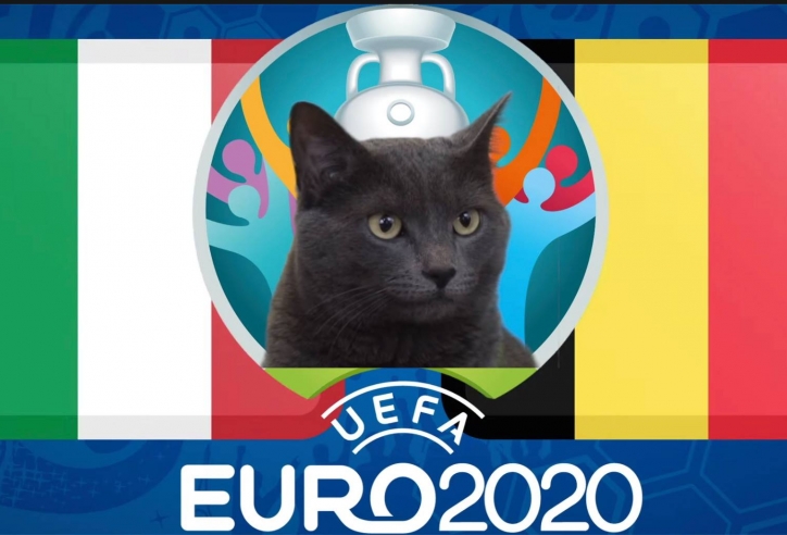 Mèo tiên tri dự đoán Bỉ vs Italia: Niềm vui cho đội bóng số 1?