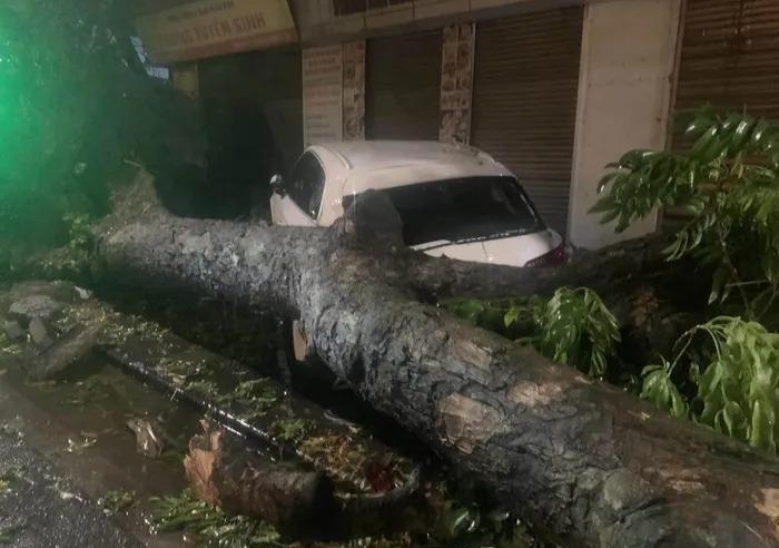Nhiều ô tô bị cây đổ đè trúng sau cơn mưa dông lớn ở Hà Nội