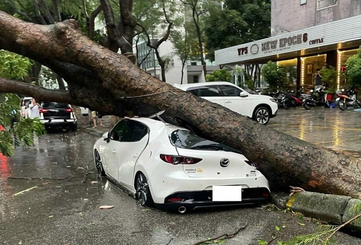 Ảnh hưởng từ siêu bão Yagi: Hà Nội nổi mưa giông lớn khiến hàng loạt ô tô, xe máy bị cây đổ đè bẹp