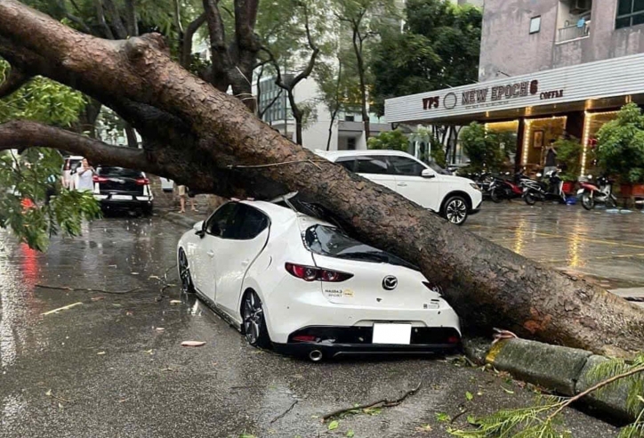 Mùa mưa bão đến gần: Cẩn trọng với đường ngập và cây đổ khi lái xe