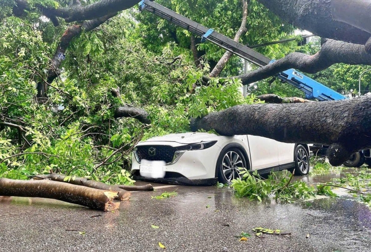 Ô tô hư hỏng vì ngập nước, bị cây đổ đè sau mưa bão: Chủ xe có quyền yêu cầu bảo hiểm hỗ trợ?