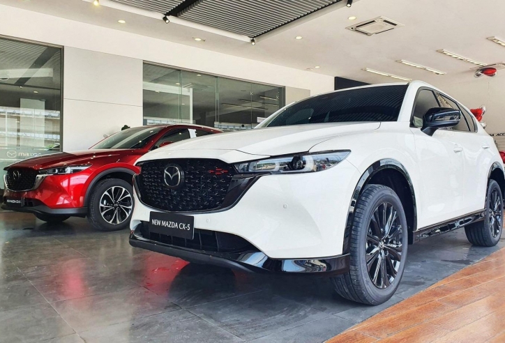 Toàn cảnh thị trường ô tô Việt Nam 2025: Ô tô điện 'lên ngôi', xe gầm cao vẫn rất được lòng khách hàng