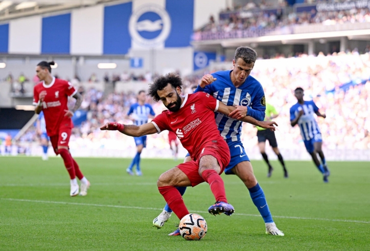 Trực tiếp Brighton vs Liverpool, 2h30 hôm nay 31/10