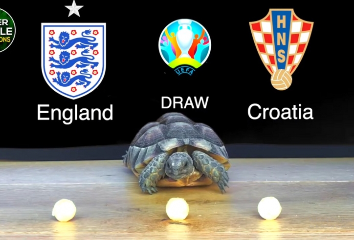 Thần Rùa tiên tri dự đoán kết quả Anh vs Croatia: Tam sư đại thắng?