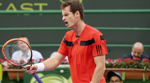 Andy Murray bất ngờ bị loại tại vòng 2 Qatar Open 2014