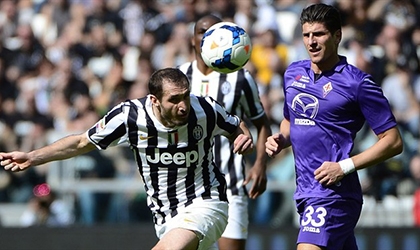 Fiorentina – Juventus: Cơ hội trong tay Viola