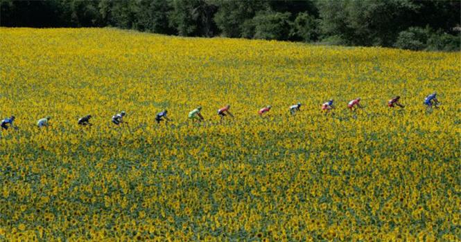 Video Tour de France 2014 Highlights: Chặng 16 đến 21 - Carcassonne tới Paris Champs-Élysées